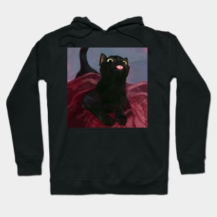 Silly Cat Hoodie